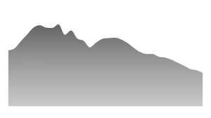 Number of Prisoners in Russia